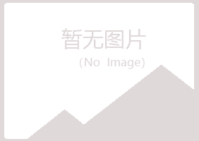 桃山区夏青会计有限公司